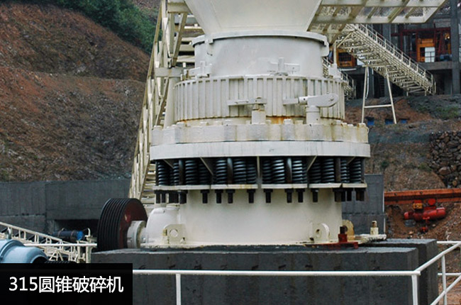 CS315���ɈA�F�C(j��)