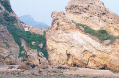 �L(f��ng)���r����ɰ��������ʡס���d�o��֪ͨ����ֹʹ���L(f��ng)���r�C(j��)��ɰ